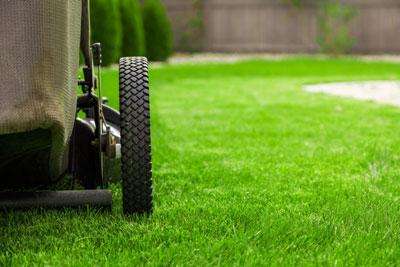 Lawn Mowing Services