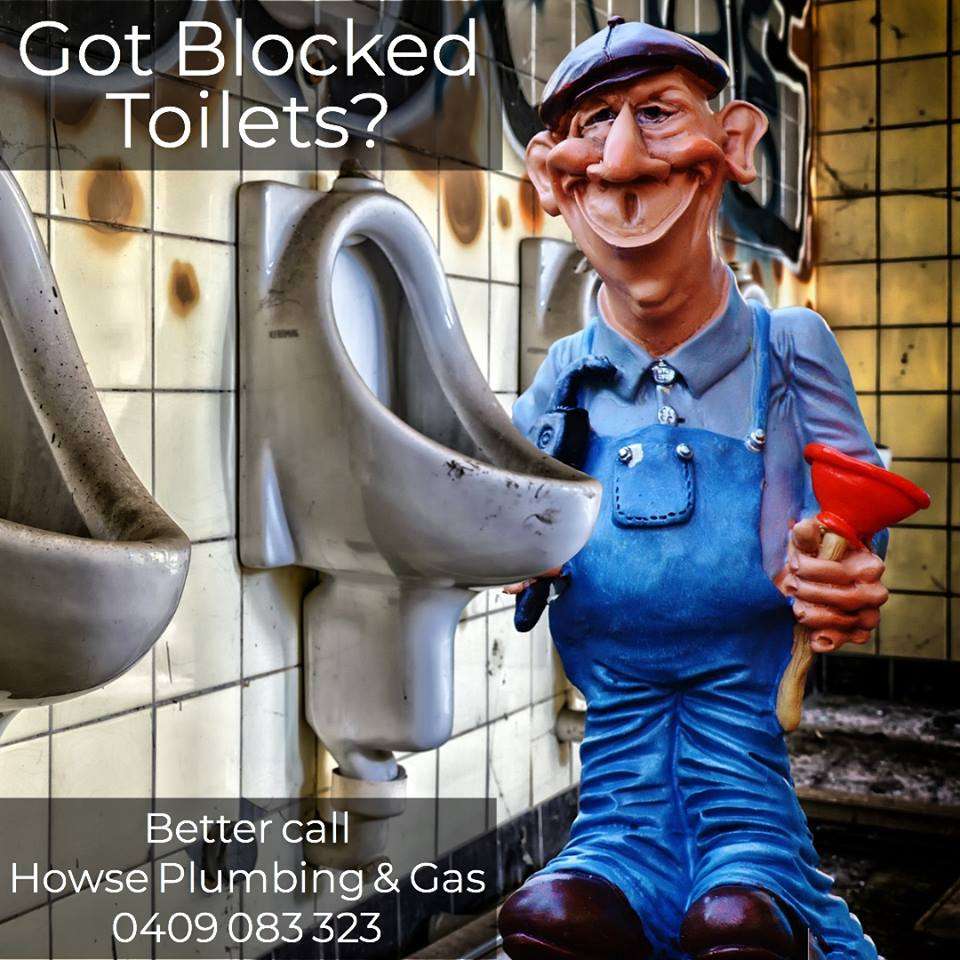 Blocked Toilet