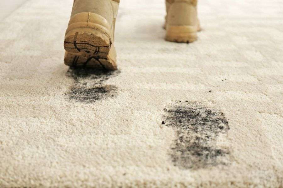 restore_carpet_cleaning_services Carpet Stain Removal