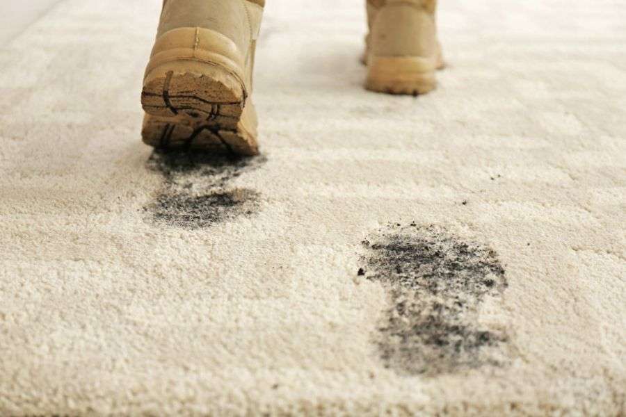 Carpet Stain Removal