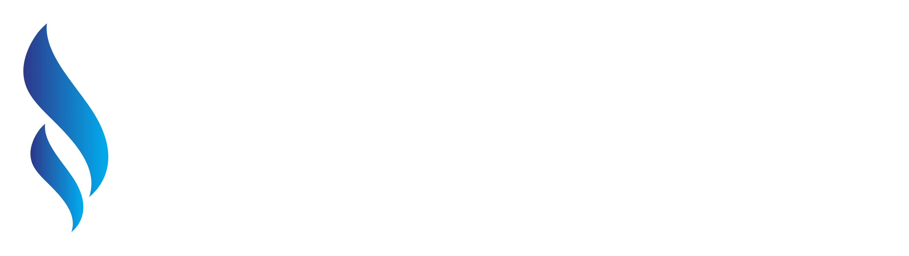 elite flow plumbing