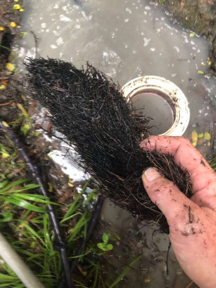 Blocked Drains
