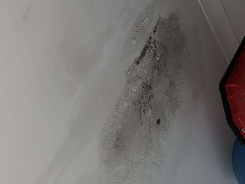 Mould Removal Mornington Peninsula