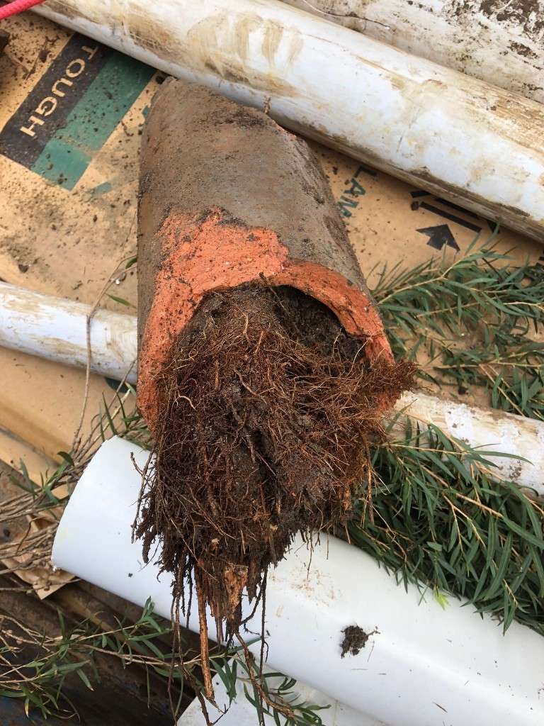 Drain Repairs