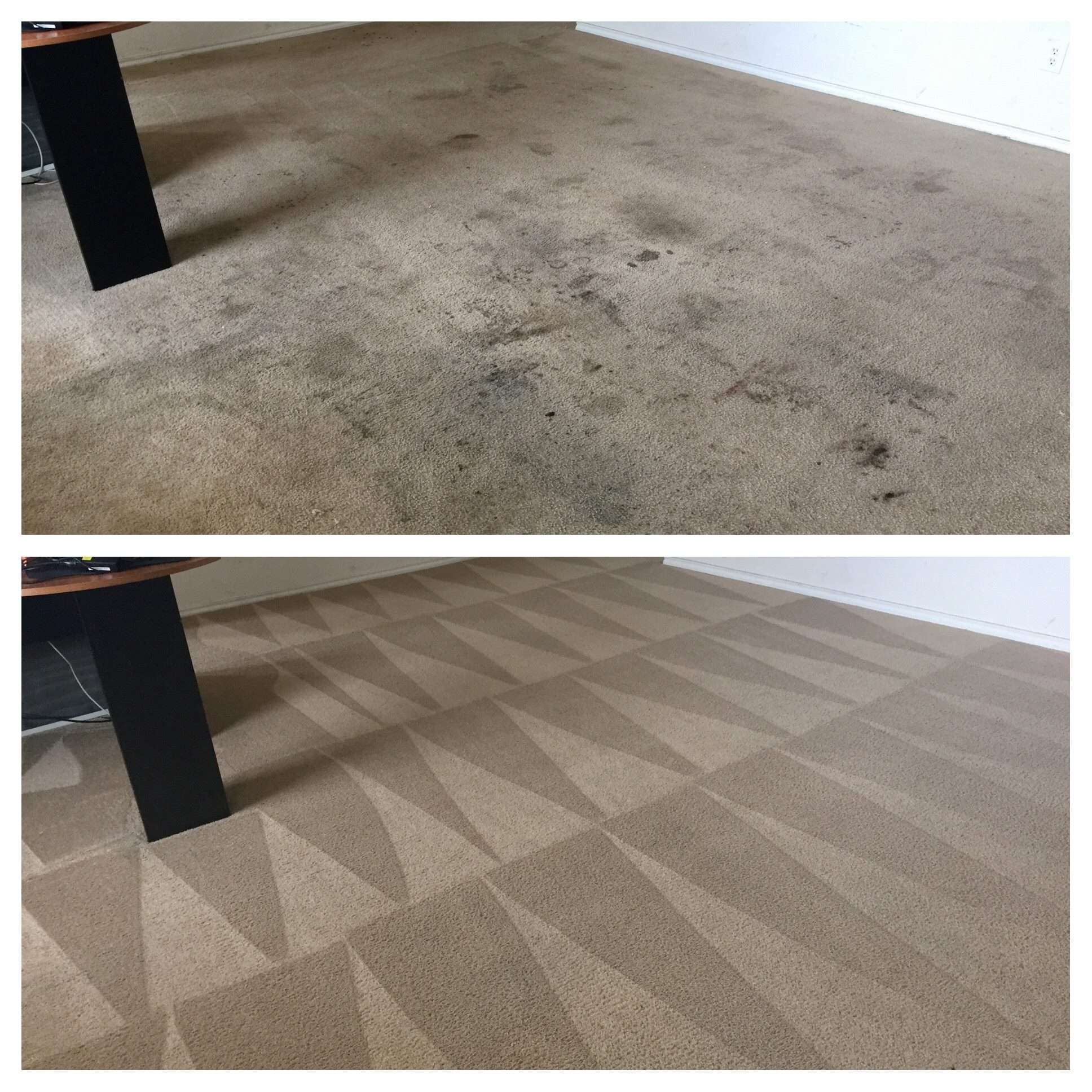 Carpet Steam Cleaning