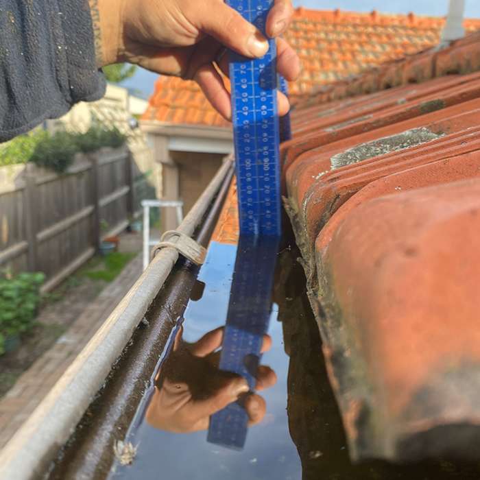 gutter cleaning