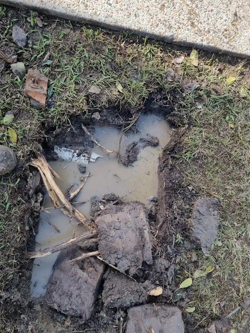 blocked-drains-skyline-plumbing-2 drain repairs