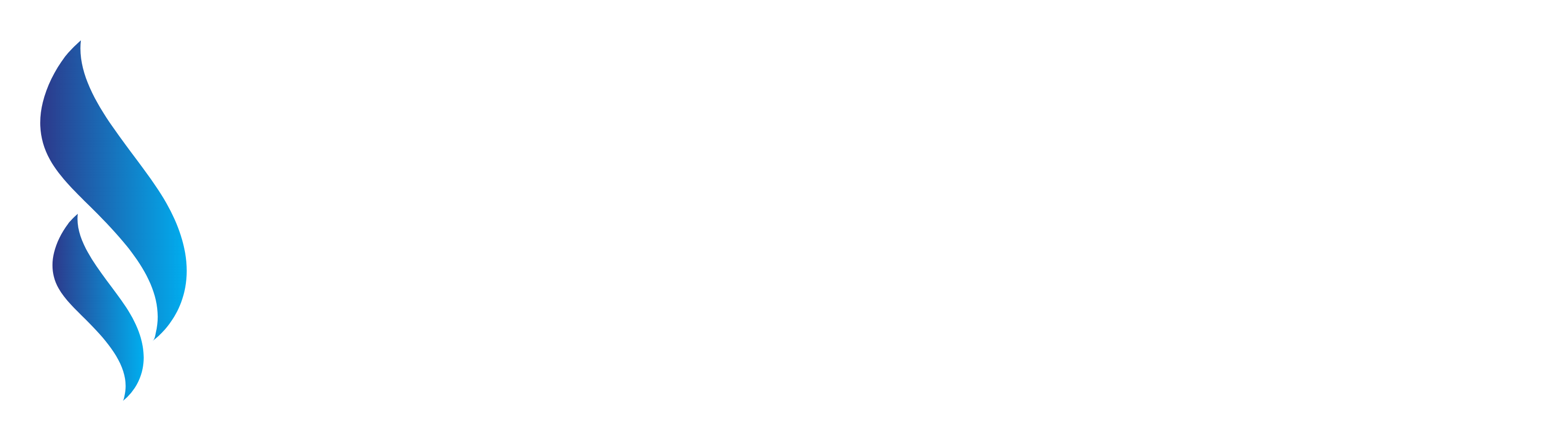 elite flow plumbing