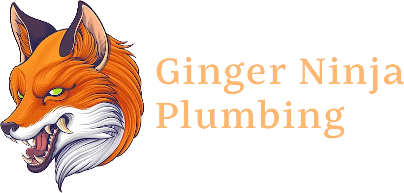 ginger ninja plumbing
