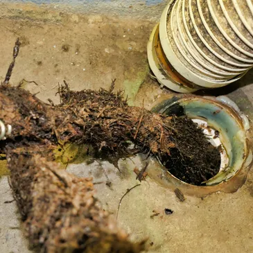 blocked drains